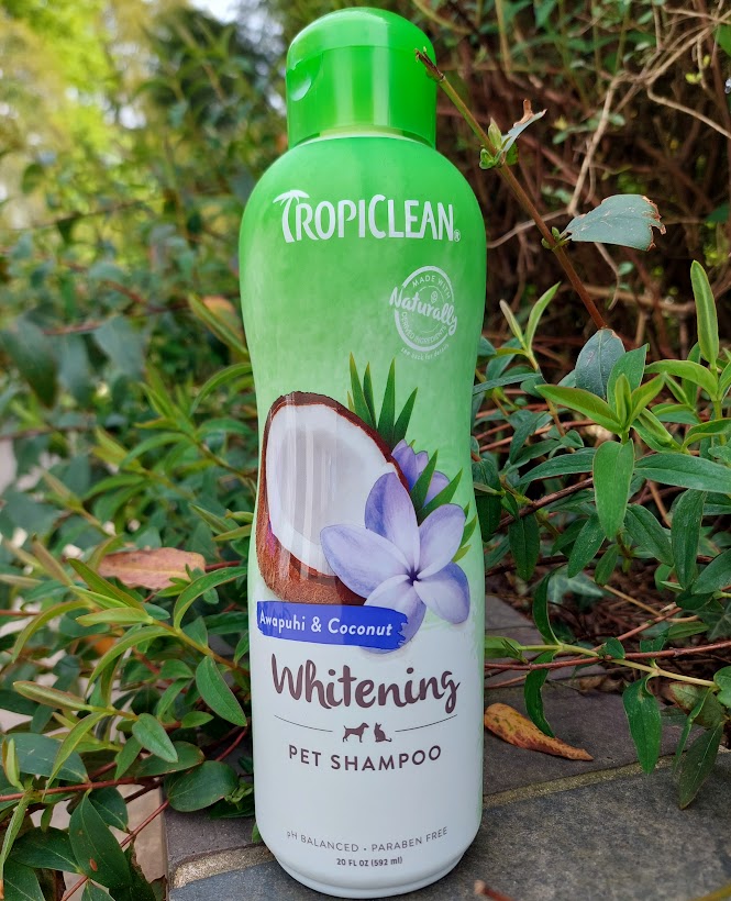 TropiClean Awapuhi & Coconut Pet Shampoo