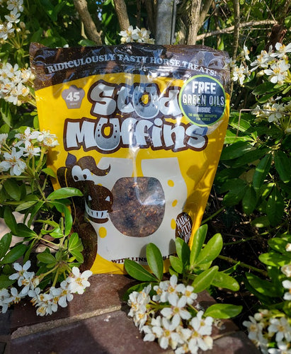 Stud Muffins 45 pack