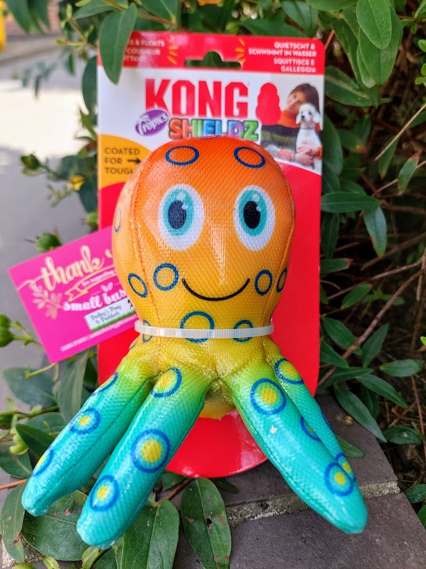 Kong Shieldz Tropics Octopus