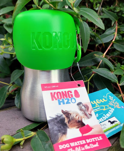 Kong H2O Stainless Steel Dog Water Bottle