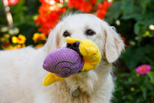 Load image into Gallery viewer, Sassy Snail Dog Toy