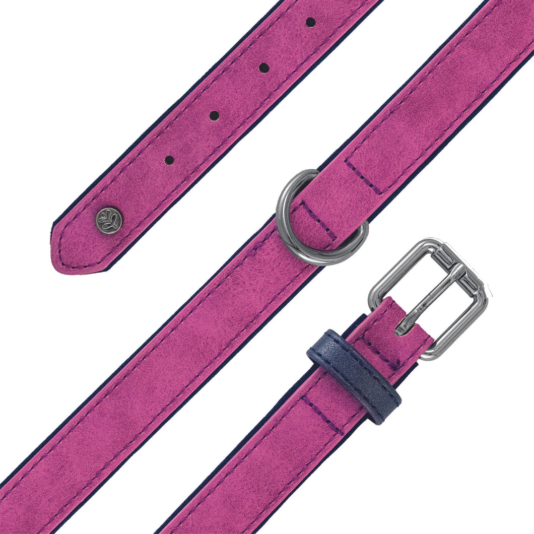 Brights Aquatech Collar- Raspberry