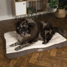 Load image into Gallery viewer, Scruffs Ellen Dog Mattress