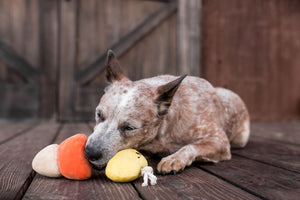 Howling Haunts Canine Corn