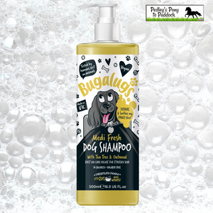 Bugalugs Medi Fresh Dog Shampoo