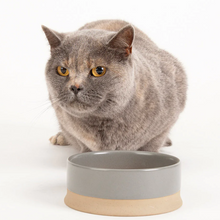 Load image into Gallery viewer, Scruffs Scandi Non Tip Pet Food &amp; Water Bowl - Grey