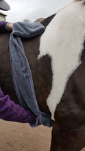 Load image into Gallery viewer, Henry Wag Equine Microfibre Glove Towel