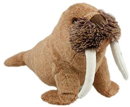 Winston Walrus