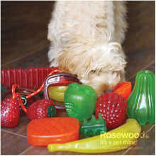 Load image into Gallery viewer, Rosewood Biosafe Watermelon Toy