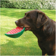 Load image into Gallery viewer, Rosewood Biosafe Watermelon Toy