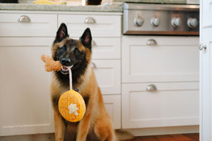 Chicken & Wooffles Plush Dog Toy