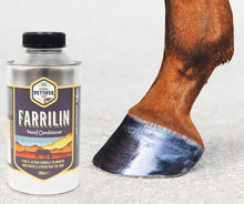 Load image into Gallery viewer, Thomas Pettifer Farrilin