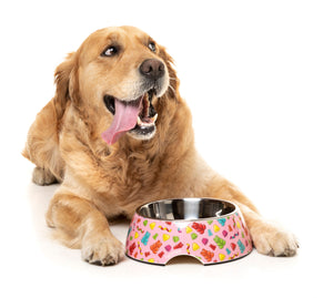 Jelly Bears Pet Bowl