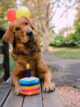 Load image into Gallery viewer, Party Time Bone-Appetit Cake Plush Dog Toy