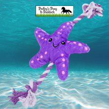 Load image into Gallery viewer, Petface Starfish Dog Toy