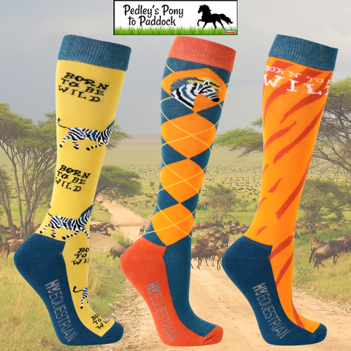 Hy Equestrian Born To Be Wild Socks (Pack Of 3)