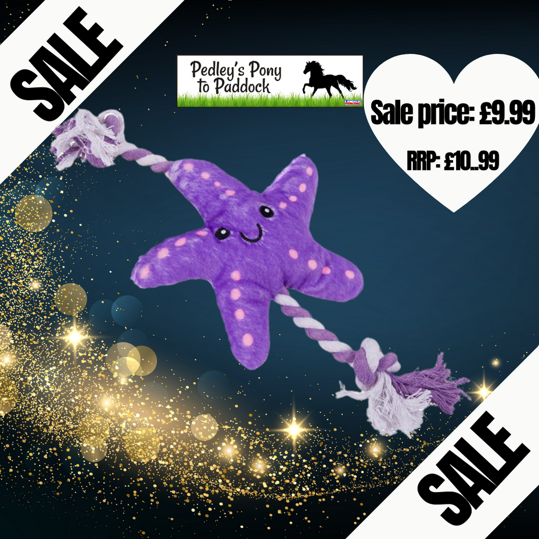 Petface Starfish Dog Toy