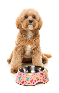 Jelly Bears Pet Bowl