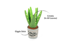 Load image into Gallery viewer, Blooming Buddies Aloe-ve You Plant