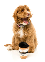 Load image into Gallery viewer, Puppuccino Dog Toy