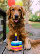 Load image into Gallery viewer, Party Time Bone-Appetit Cake Plush Dog Toy