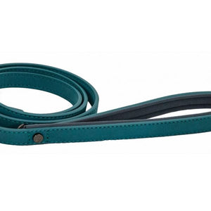 Brights Aquatech Lead- Teal