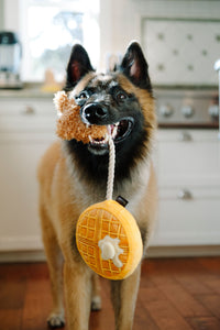 Chicken & Wooffles Plush Dog Toy