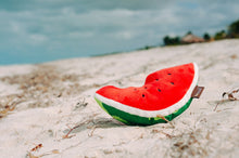 Load image into Gallery viewer, Tropical Paradise Wagging Watermelon