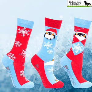 Hy Equestrian Playful Penguin Socks (3PK)