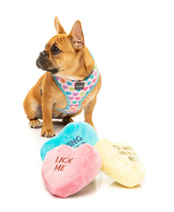 Candy Hearts 3 Pack Dog Toy