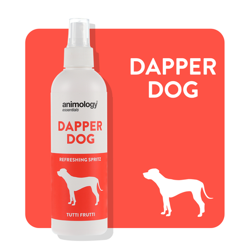 Animology Essentials Dapper Dog