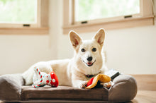 Load image into Gallery viewer, Barking Beakers Plush Dog Toy