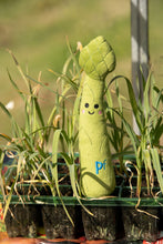 Load image into Gallery viewer, Petface Arlo Asparagus