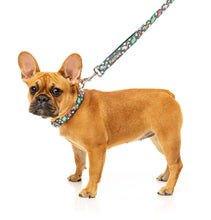 Load image into Gallery viewer, Dinosaur Land Dog Collar