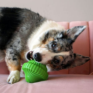 KONG Squeezz Orbitz Ball