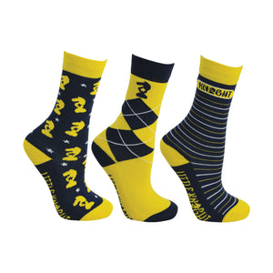 Lancelot Socks by Little Knight (Pack of 3)