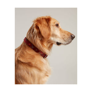 Joules Tweed Dog Collar
