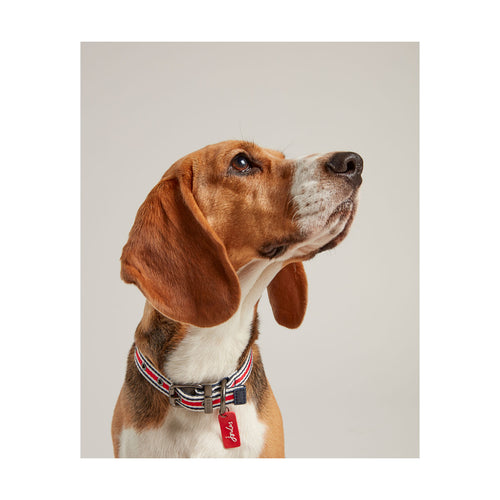 Joules Coastal Dog Collar (Red Stripe)