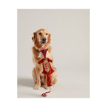 Load image into Gallery viewer, Joules Rope Heritage Fox Toy