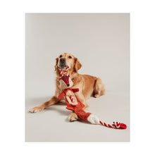 Load image into Gallery viewer, Joules Rope Heritage Fox Toy