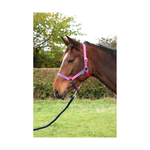 Hy Equestrian Ombre Head Collar and Lead Rope