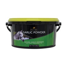 Load image into Gallery viewer, Lincoln Garlic Powder