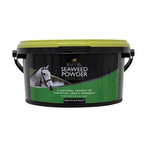 Lincoln Seaweed Powder