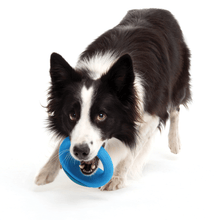 Load image into Gallery viewer, Rogz Pop-Upz Fetch Toy