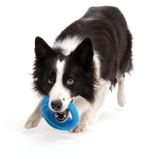 Rogz Pop-Upz Fetch Toy