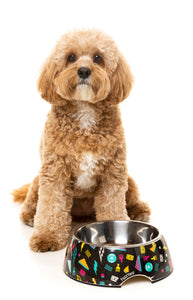 Bel Air Easy Feeder Pet Bowl