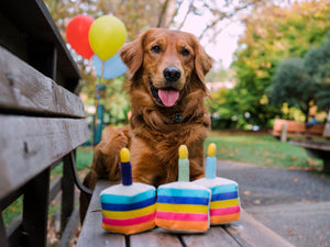 Party Time Bone-Appetit Cake Plush Dog Toy