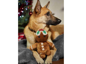 Festive Gingerbread Man Dog Toy