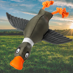 Duck Dog Toy