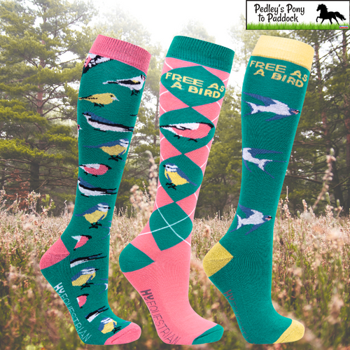 Hy Equestrian Free as a Bird Socks (Pack Of 3)